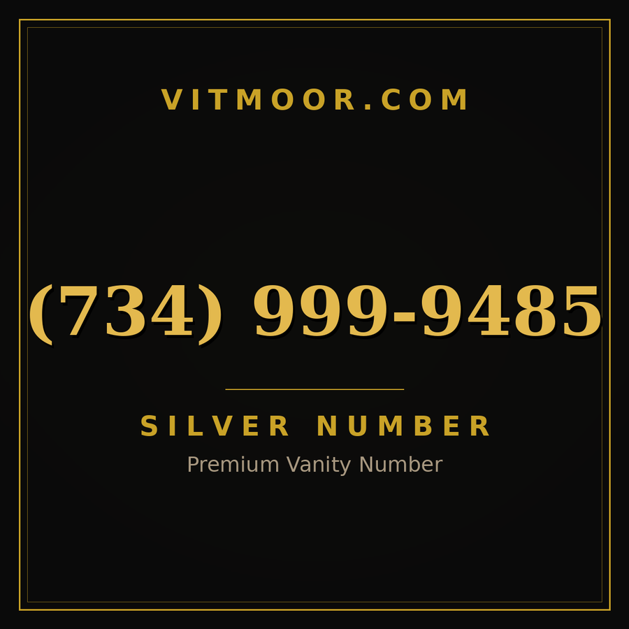 VITMOOR Silver premium number (734) 999-9485