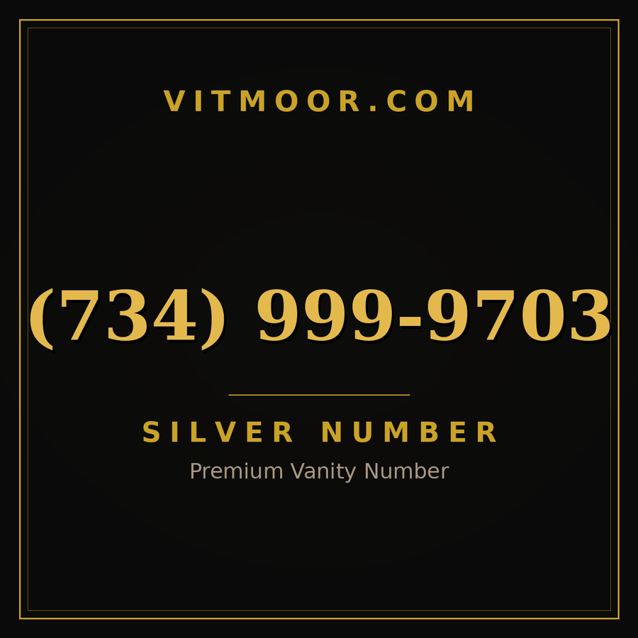 VITMOOR Silver premium number (734) 999-9703