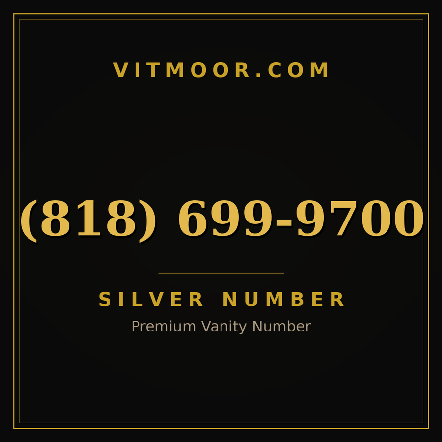 VITMOOR Silver premium number (818) 699-9700