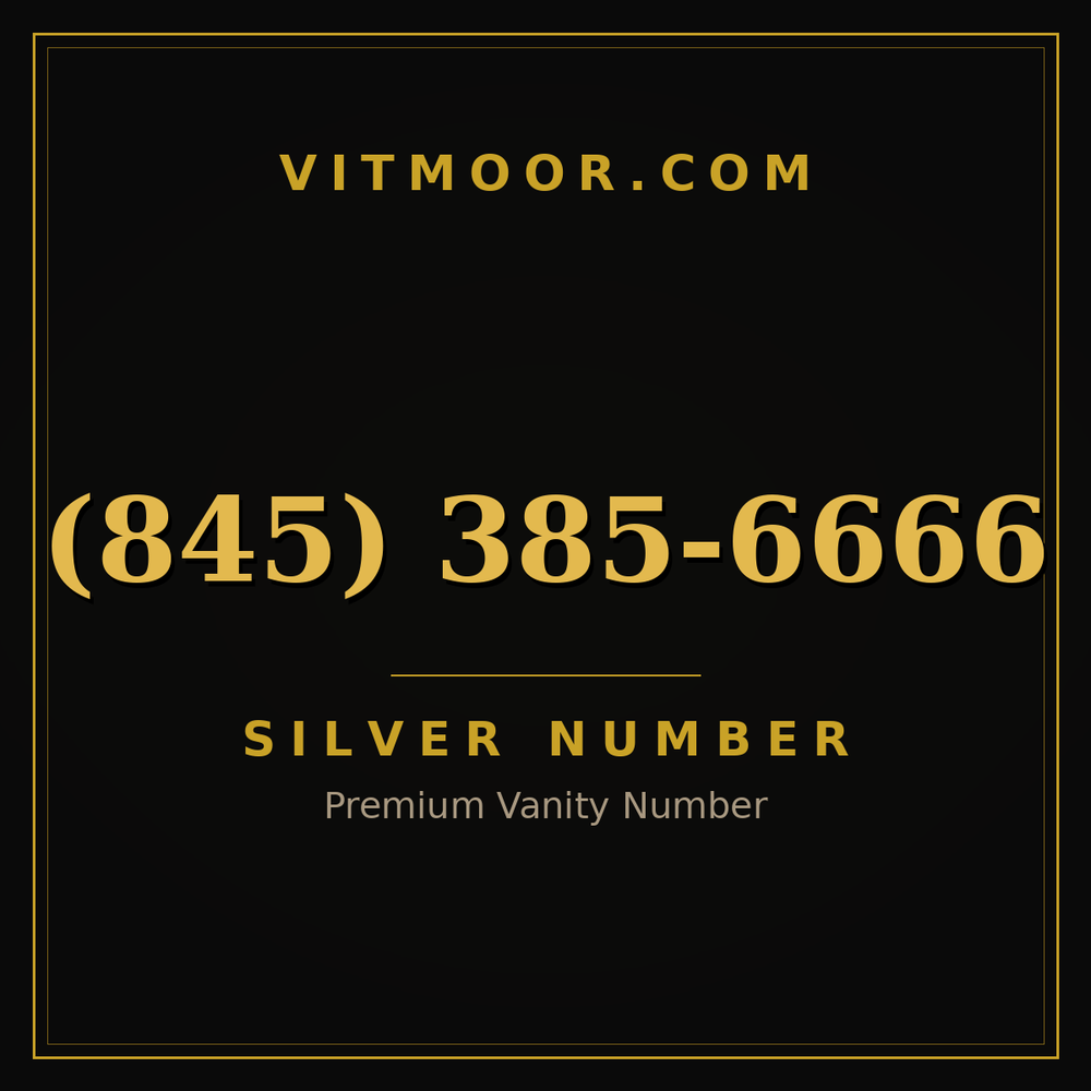 845 385-6666