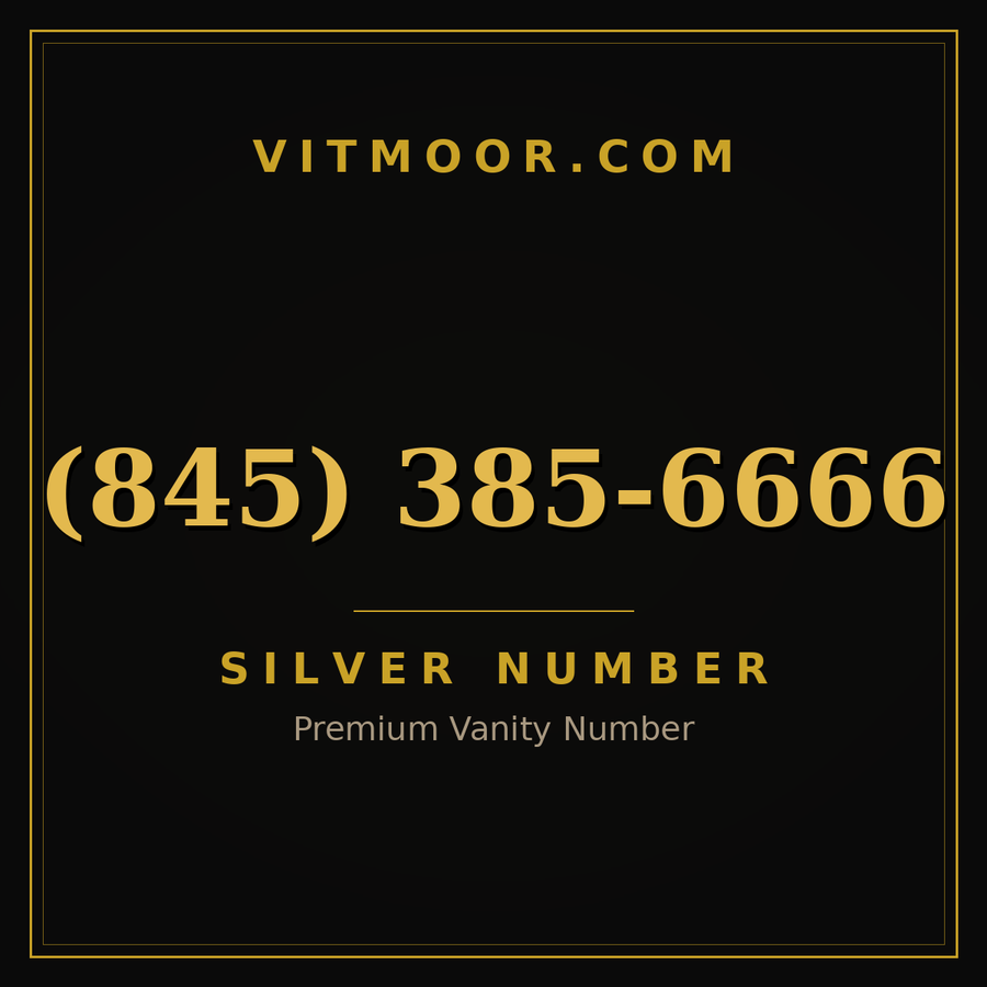 VITMOOR Silver premium number (845) 385-6666