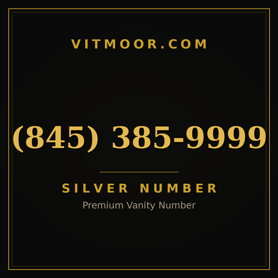 VITMOOR Silver premium number (845) 385-9999