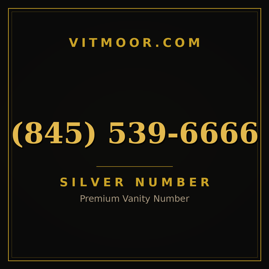 VITMOOR Silver premium number (845) 539-6666