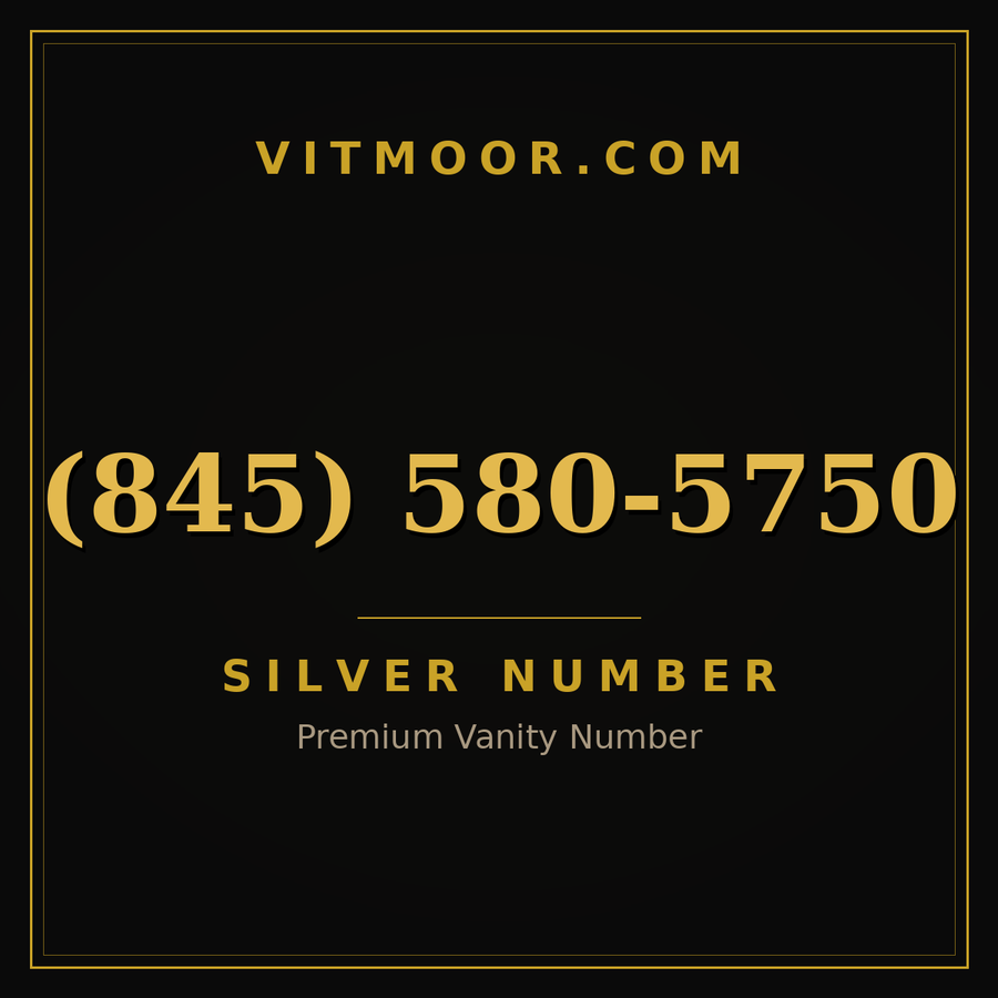 VITMOOR Silver premium number (845) 580-5750