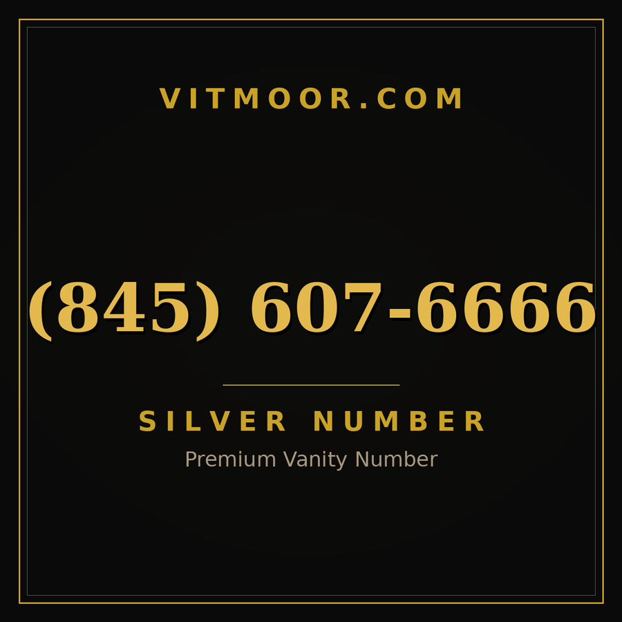 VITMOOR Silver premium number (845) 607-6666