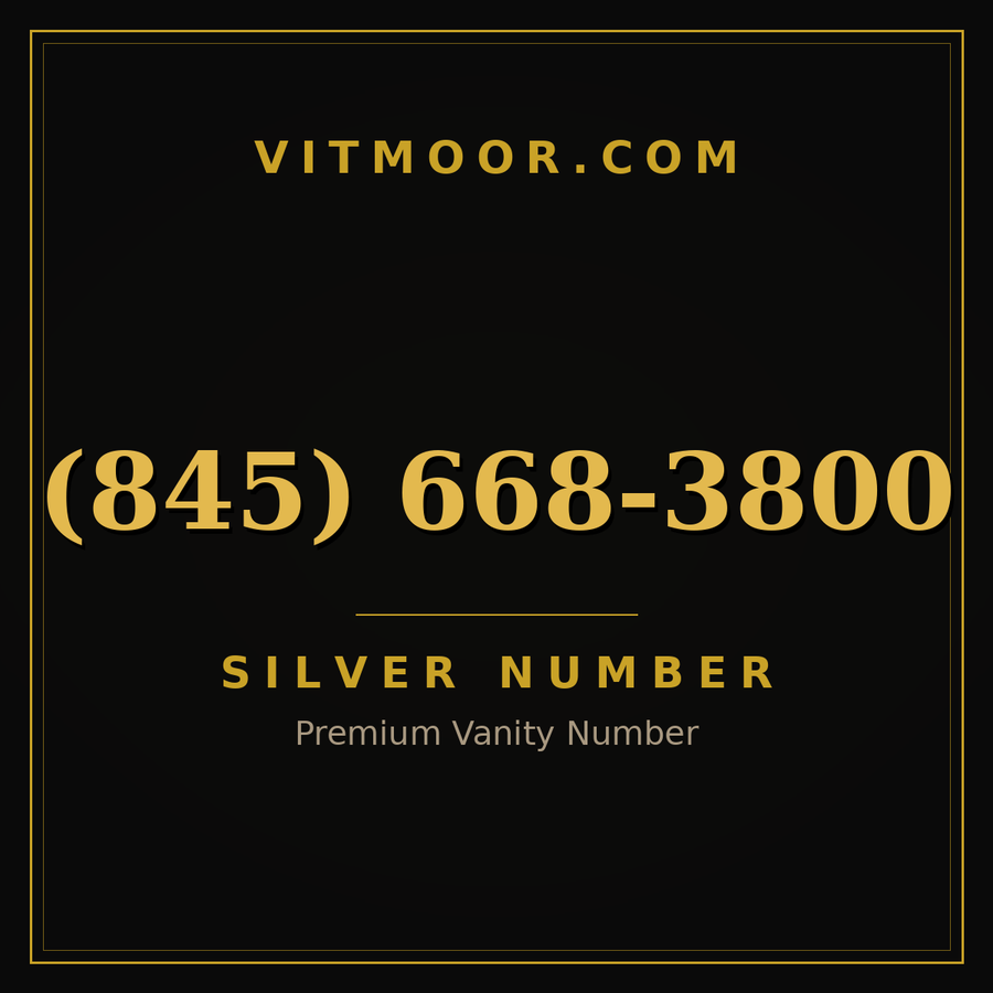 VITMOOR Silver premium number (845) 668-3800