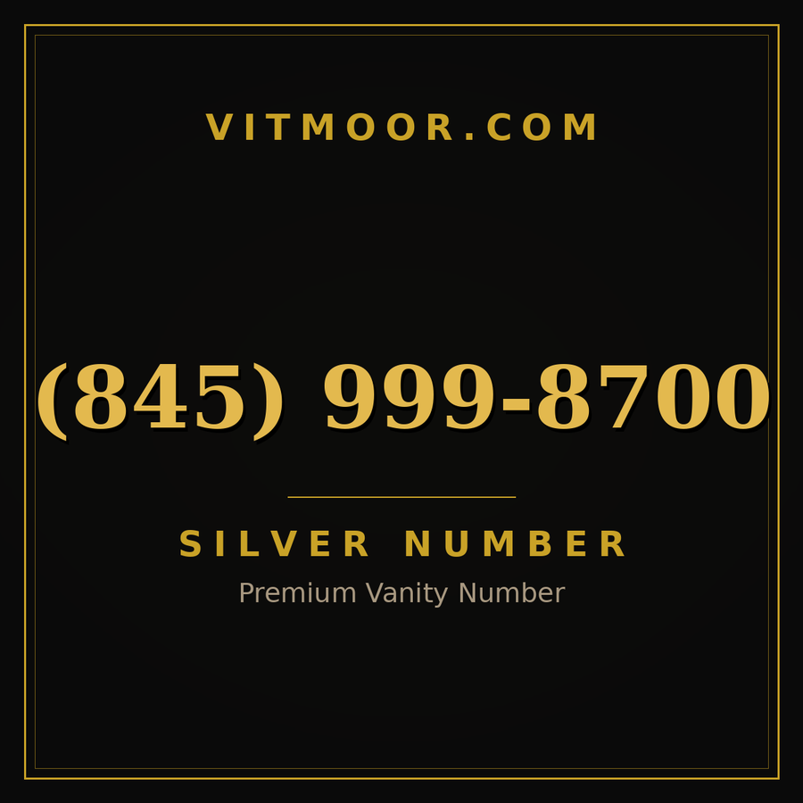VITMOOR Silver premium number (845) 999-8700