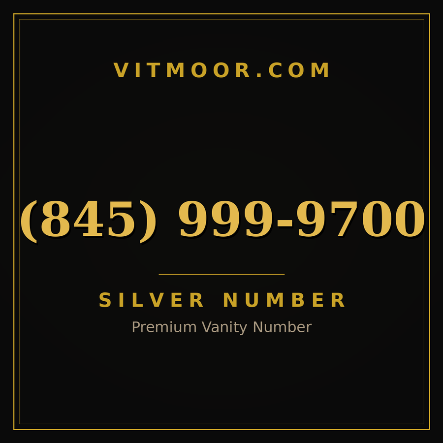 VITMOOR Silver premium number (845) 999-9700