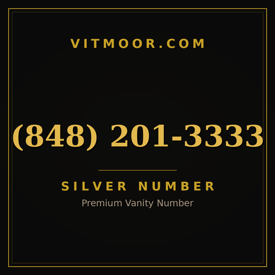 VITMOOR Silver premium number (848) 201-3333