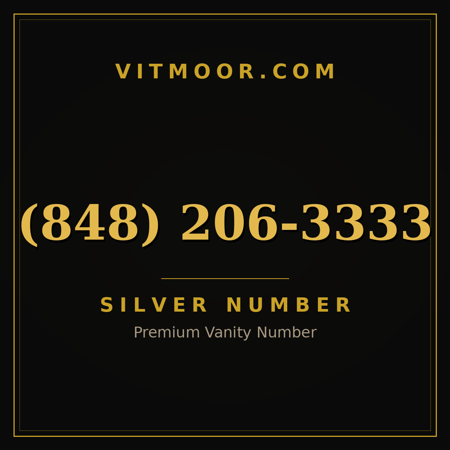 VITMOOR Silver premium number (848) 206-3333