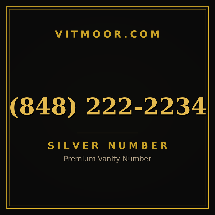 VITMOOR Silver premium number (848) 222-2234