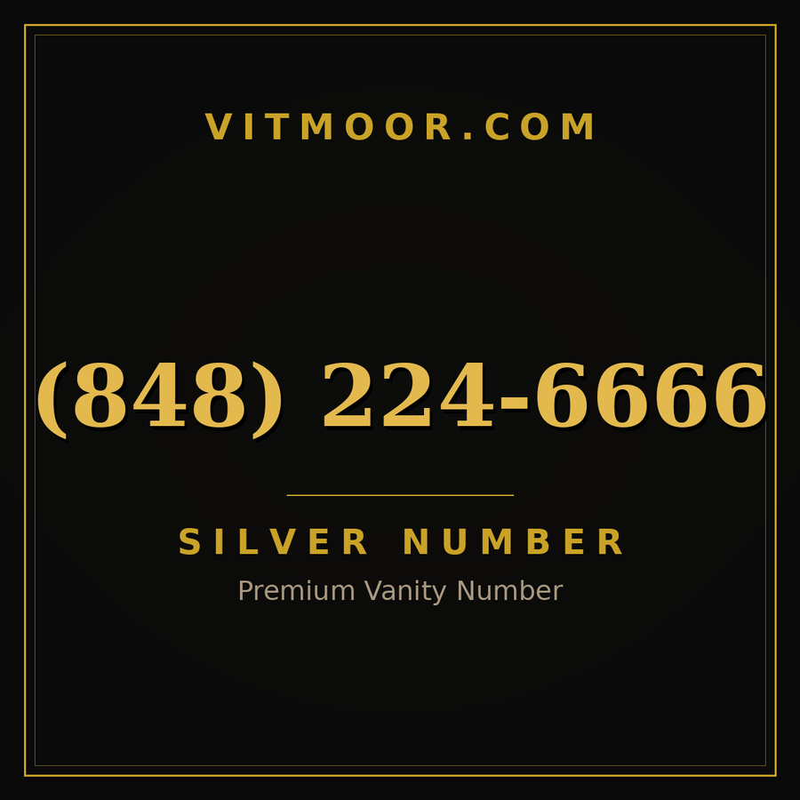 VITMOOR Silver premium number (848) 224-6666