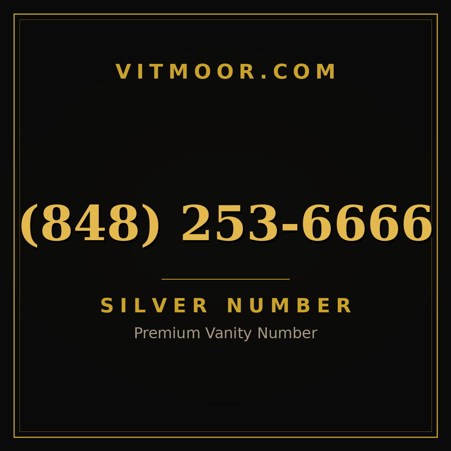 VITMOOR Silver premium number (848) 253-6666