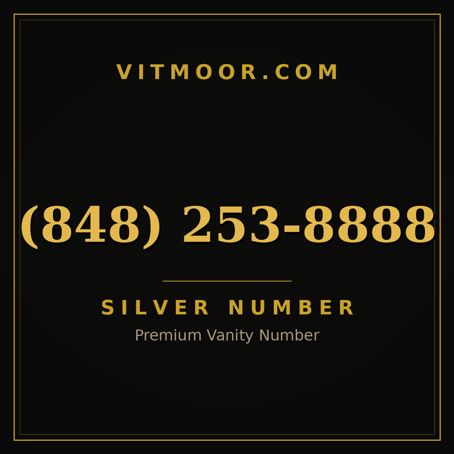 VITMOOR Silver premium number (848) 253-8888