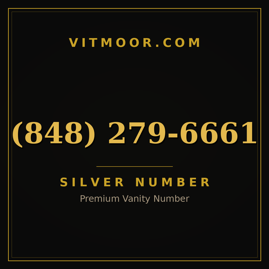 VITMOOR Silver premium number (848) 279-6661
