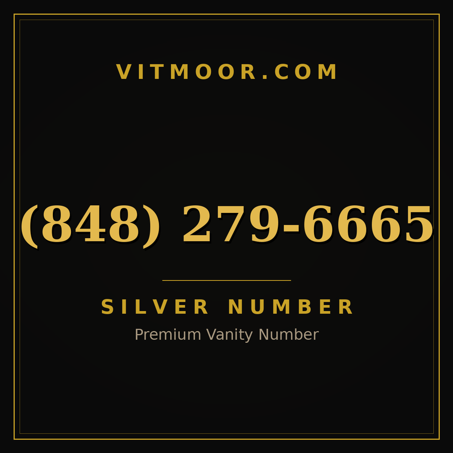 VITMOOR Silver premium number (848) 279-6665