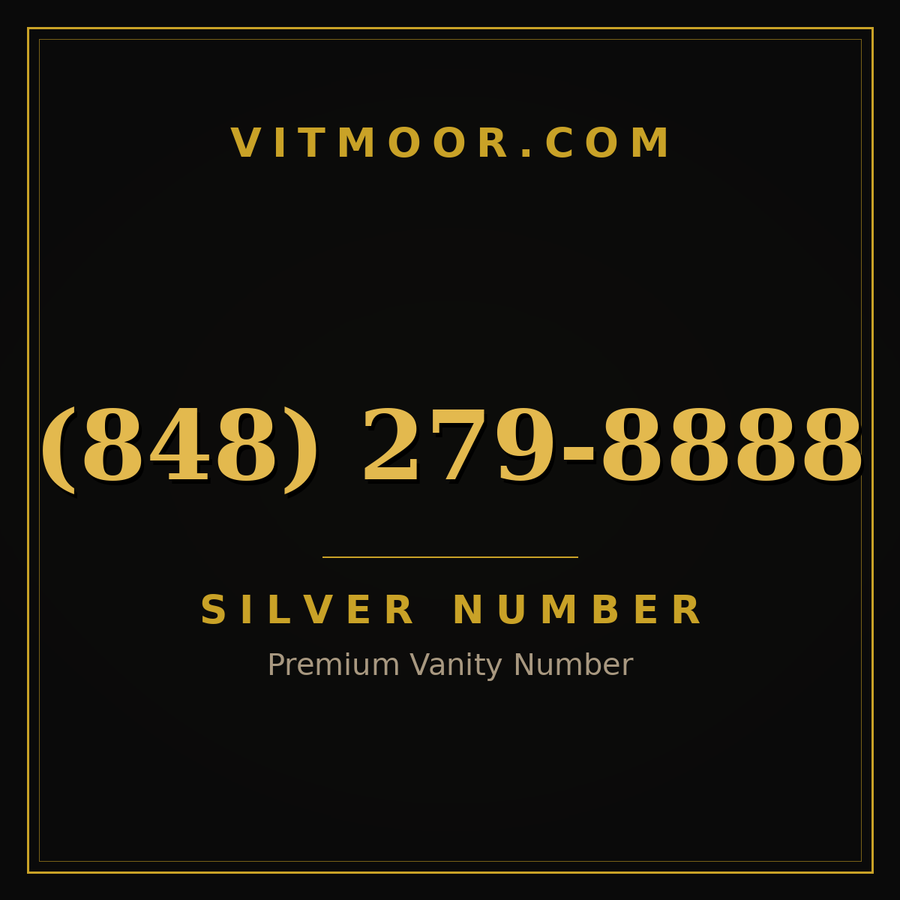 VITMOOR Silver premium number (848) 279-8888