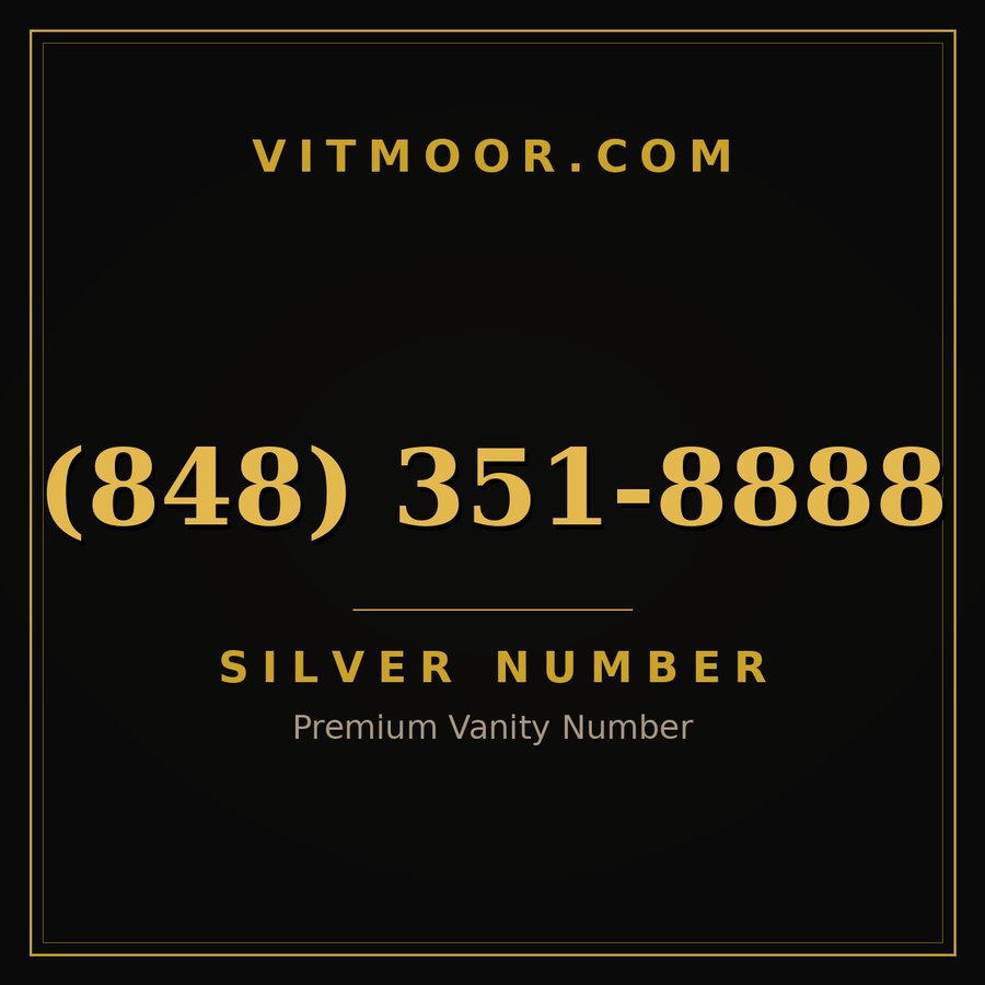 VITMOOR Silver premium number (848) 351-8888
