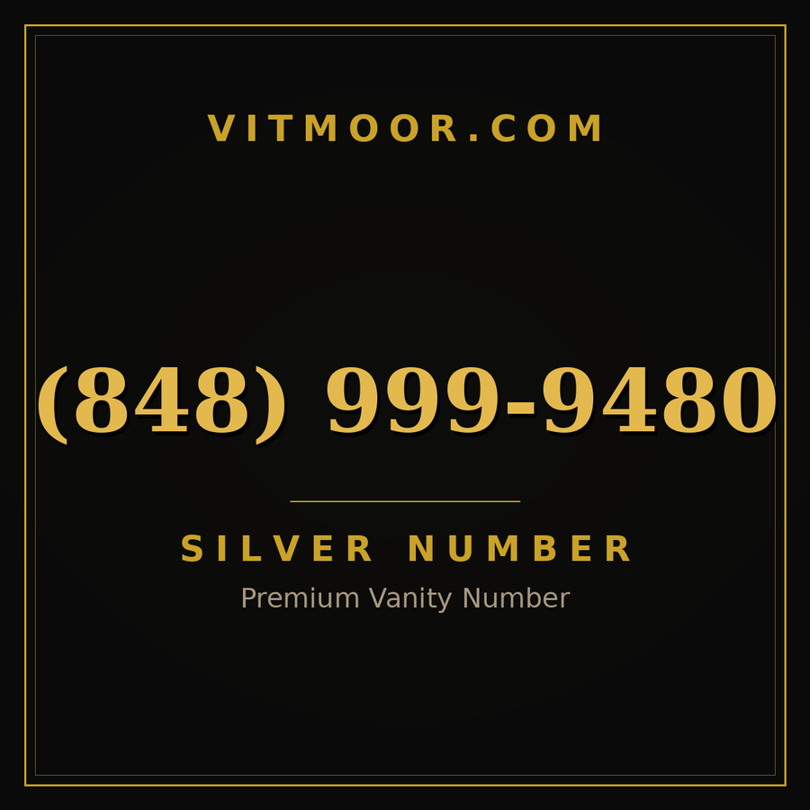 VITMOOR Silver premium number (848) 999-9480