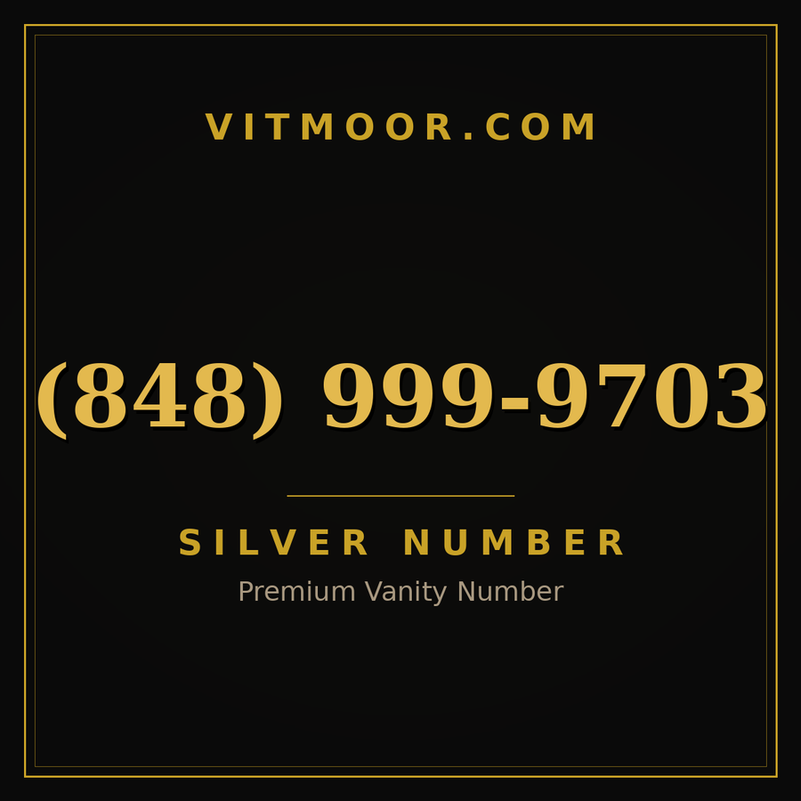 VITMOOR Silver premium number (848) 999-9703