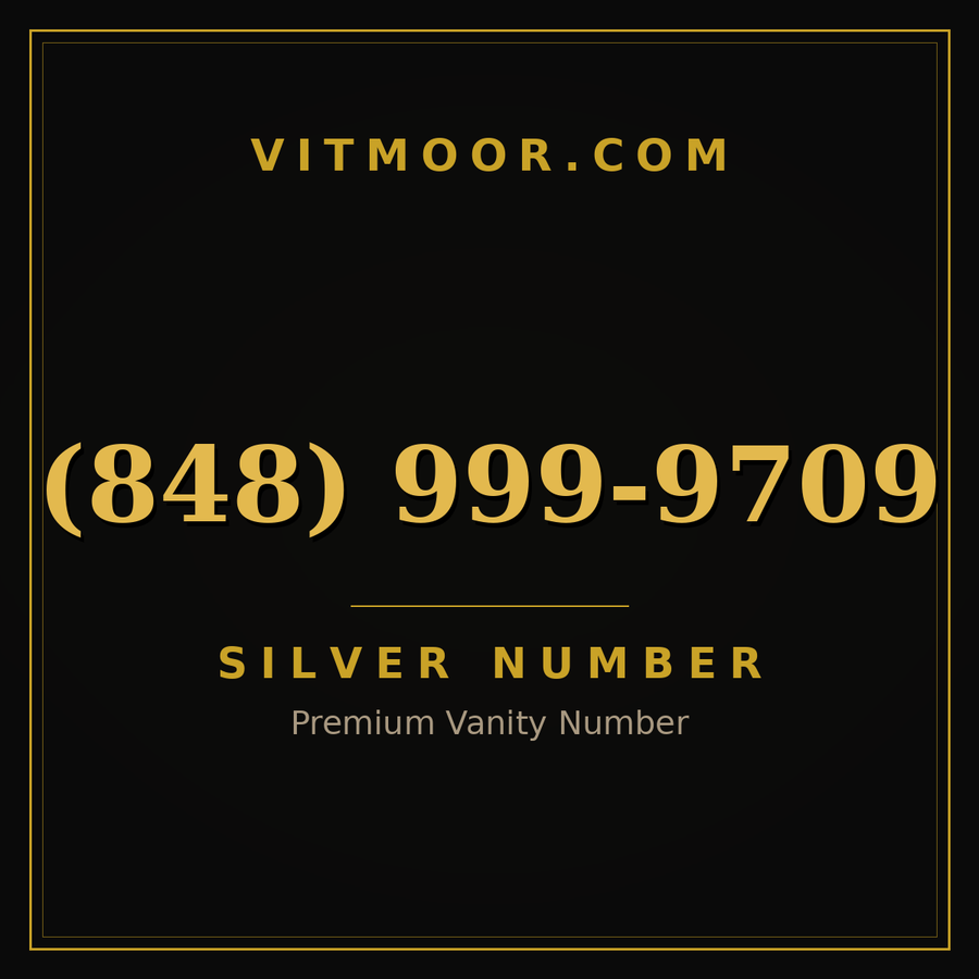 VITMOOR Silver premium number (848) 999-9709