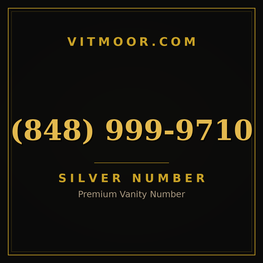 VITMOOR Silver premium number (848) 999-9710