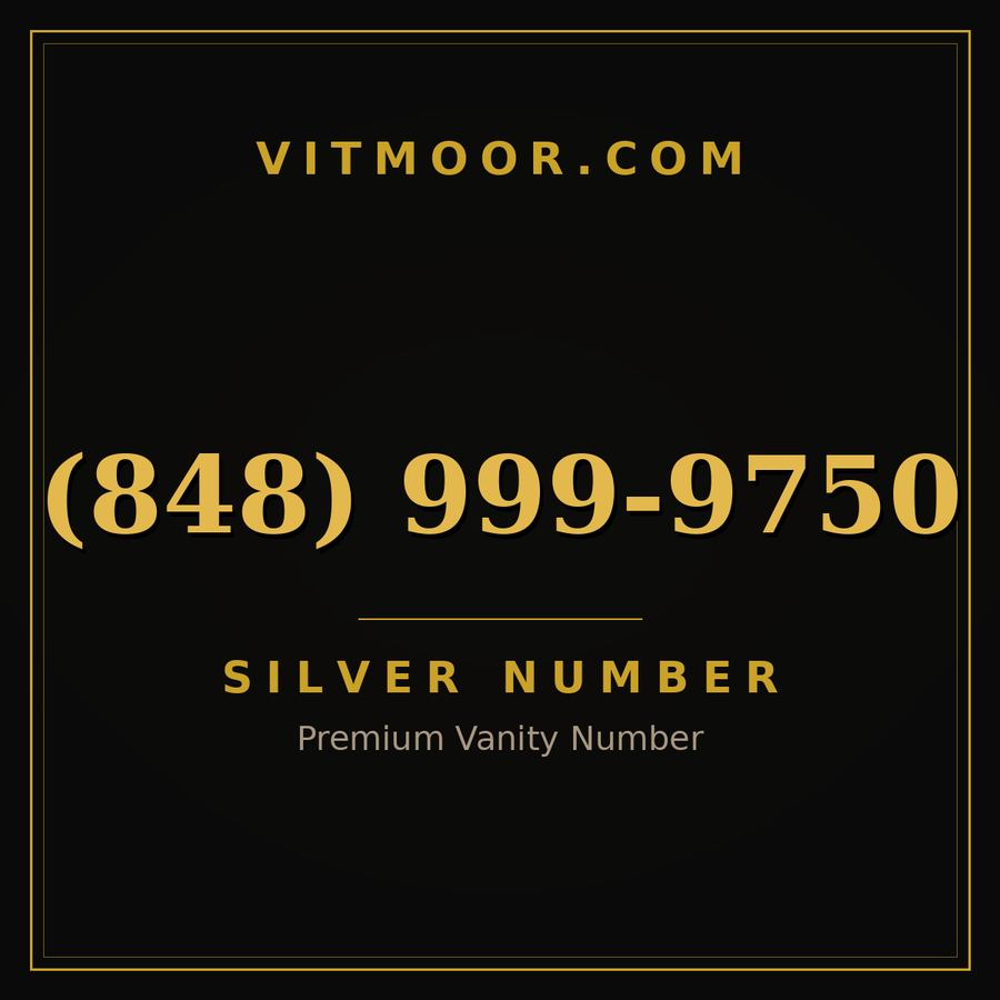 VITMOOR Silver premium number (848) 999-9750