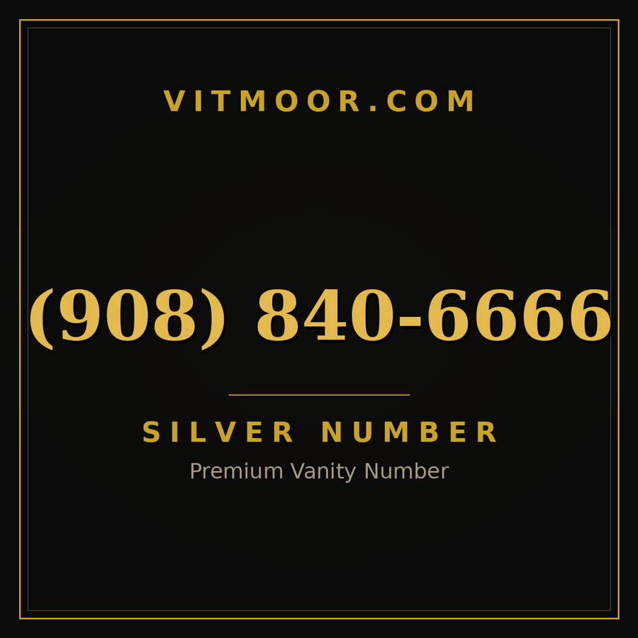VITMOOR Silver premium number (908) 840-6666