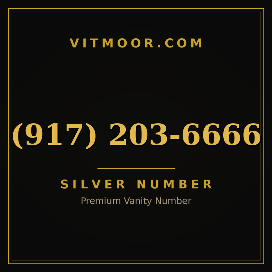 VITMOOR Silver premium number (917) 203-6666