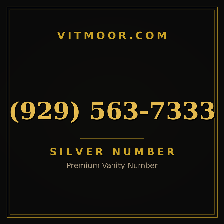 VITMOOR Silver premium number (929) 563-7333