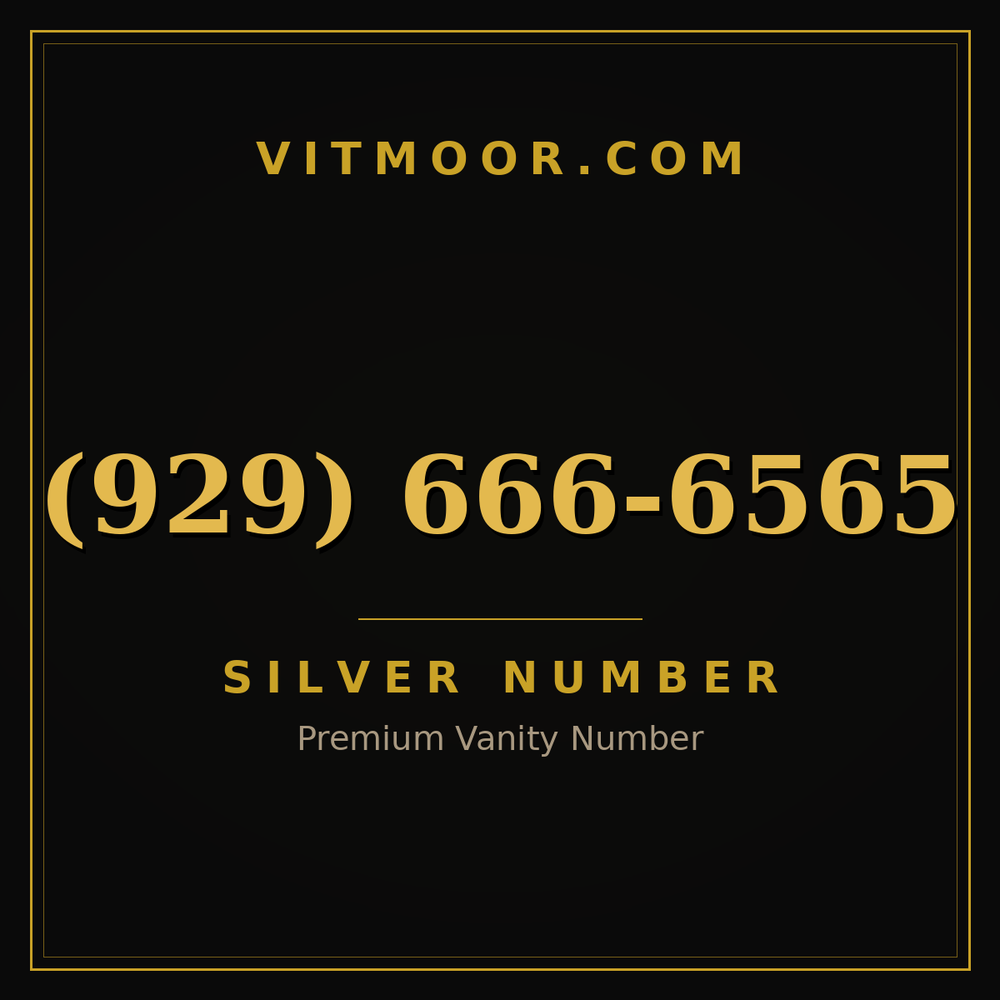 929 666-6565