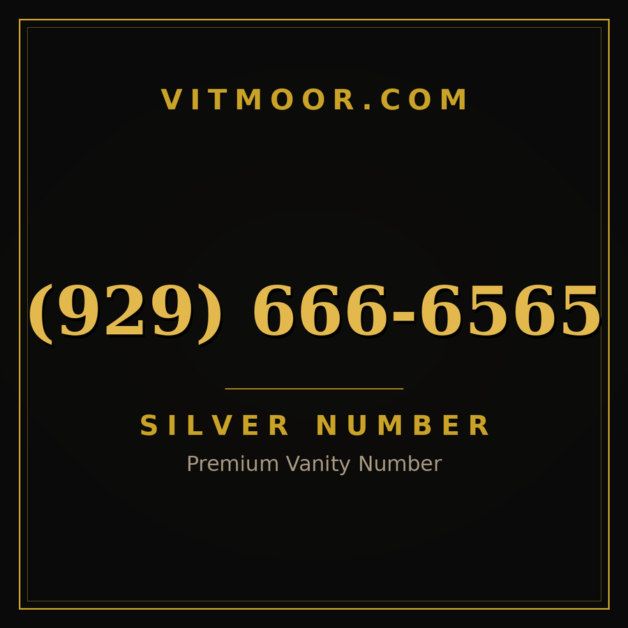 VITMOOR Silver premium number (929) 666-6565