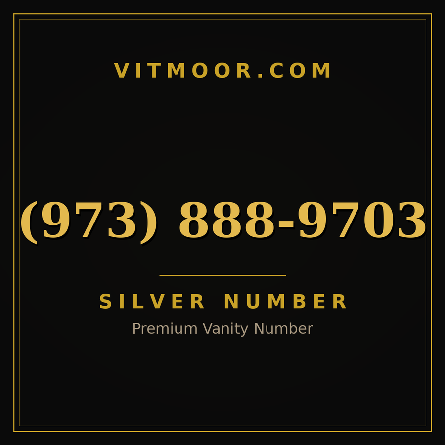 VITMOOR Silver premium number (973) 888-9703