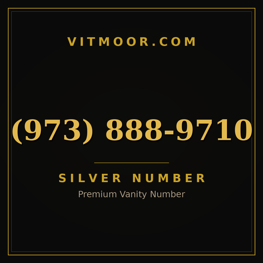VITMOOR Silver premium number (973) 888-9710