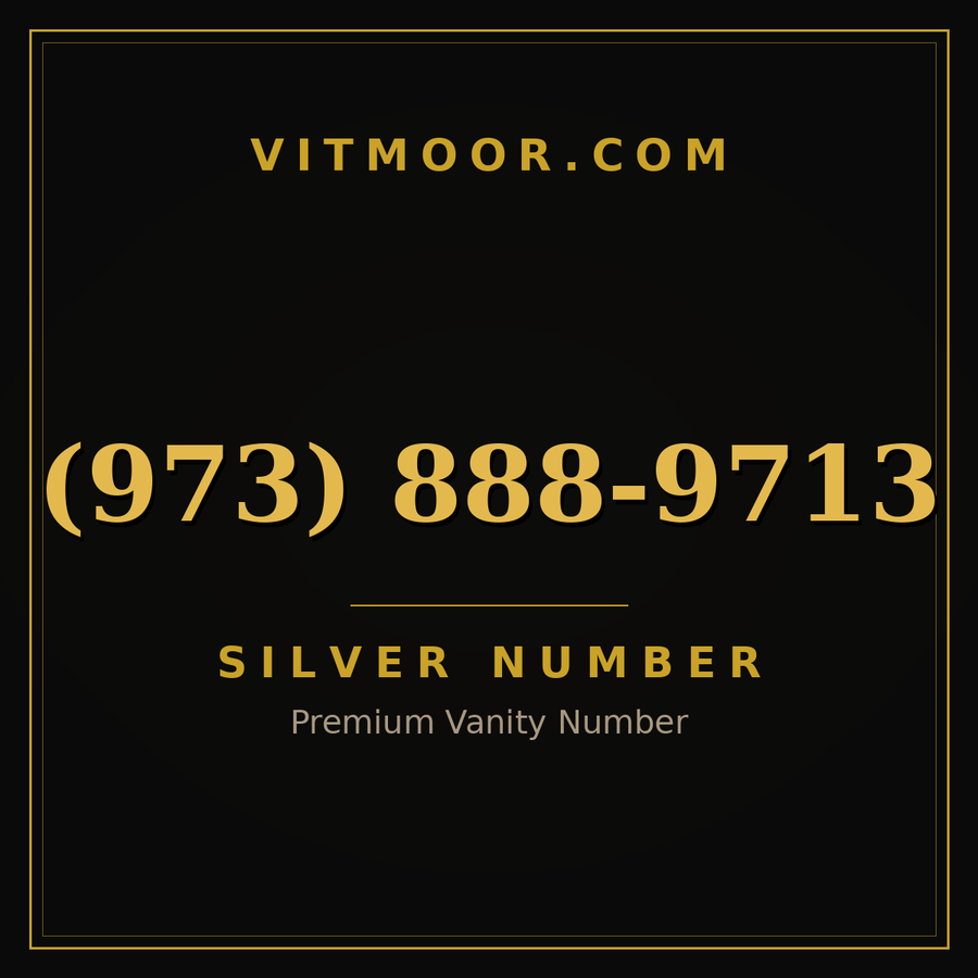 VITMOOR Silver premium number (973) 888-9713