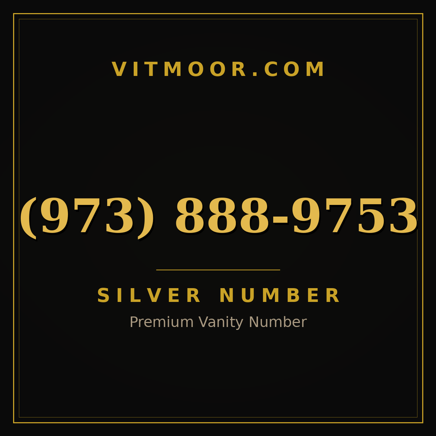 VITMOOR Silver premium number (973) 888-9753