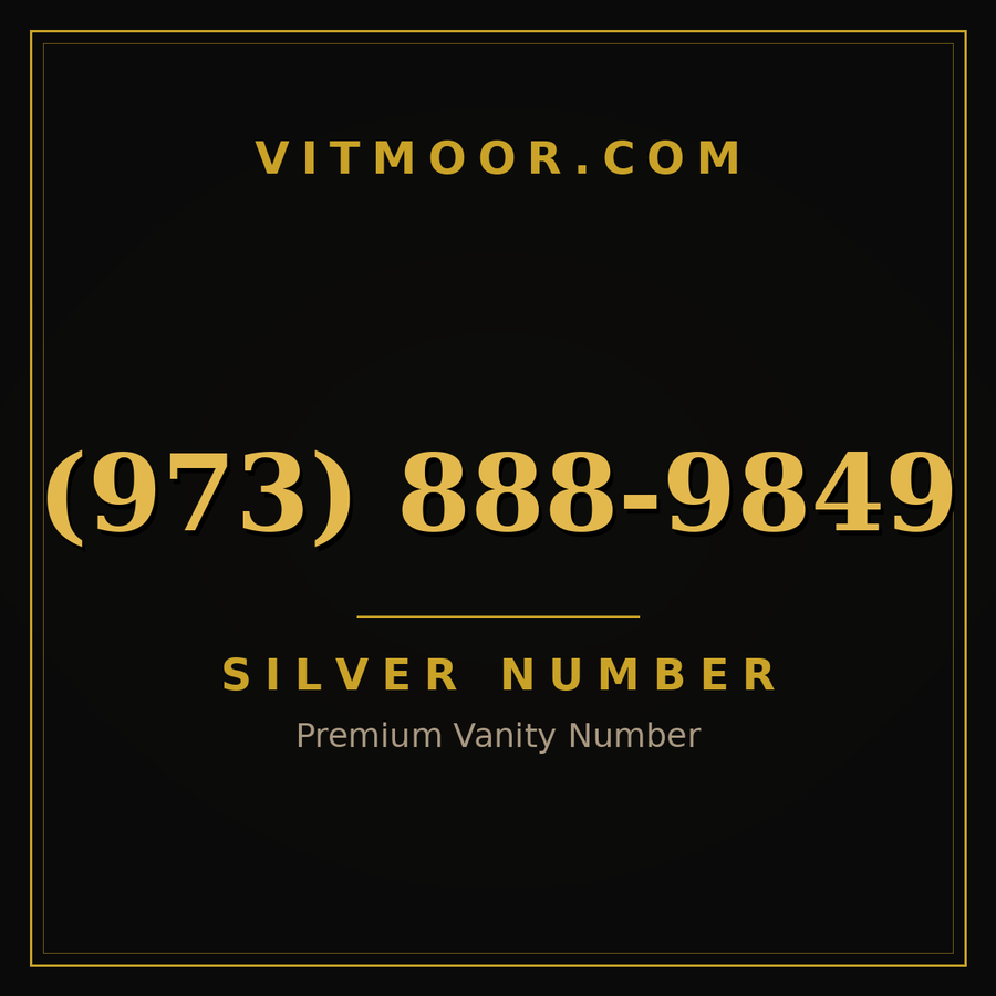 VITMOOR Silver premium number (973) 888-9849