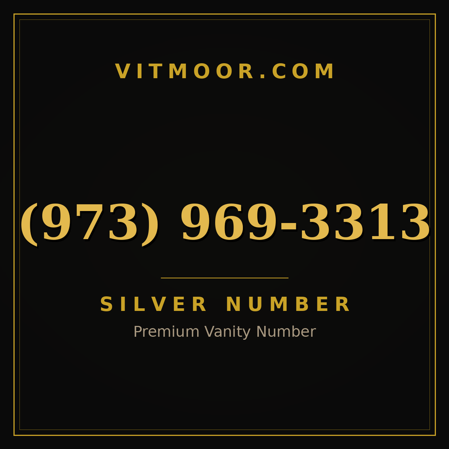 VITMOOR Silver premium number (973) 969-3313