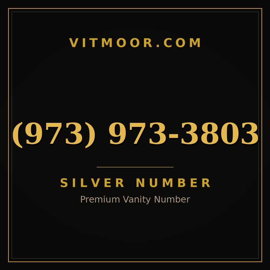 VITMOOR Silver premium number (973) 973-3803