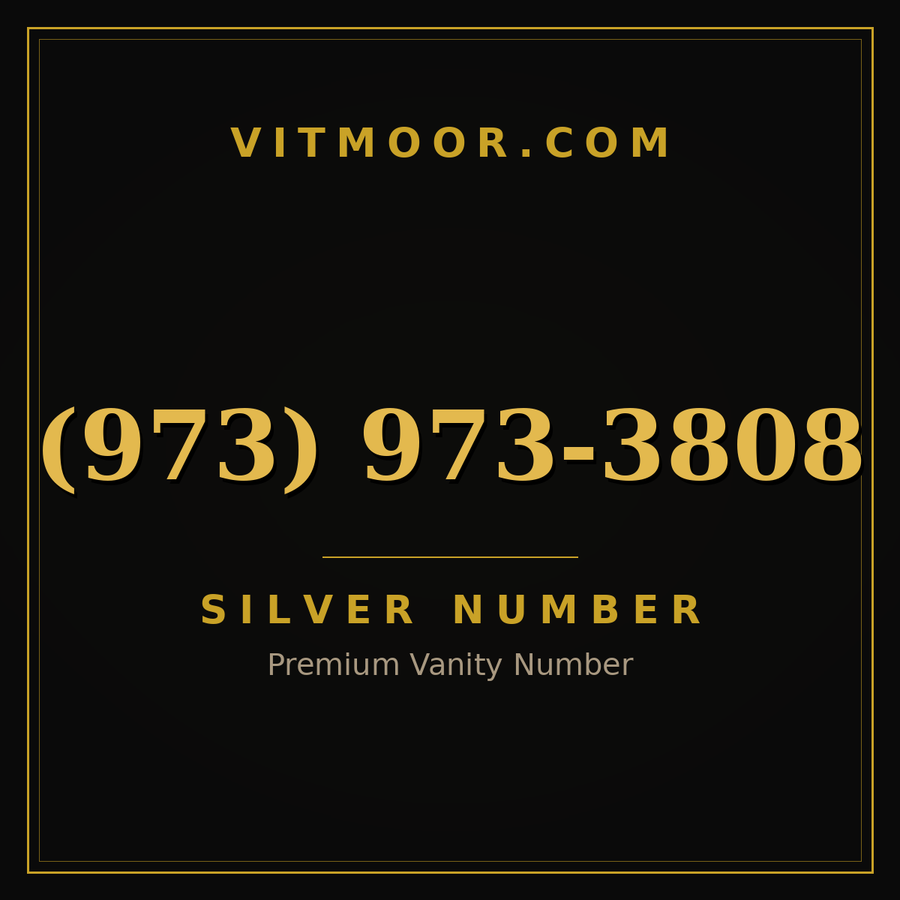 VITMOOR Silver premium number (973) 973-3808