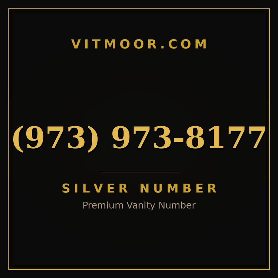 VITMOOR Silver premium number (973) 973-8177