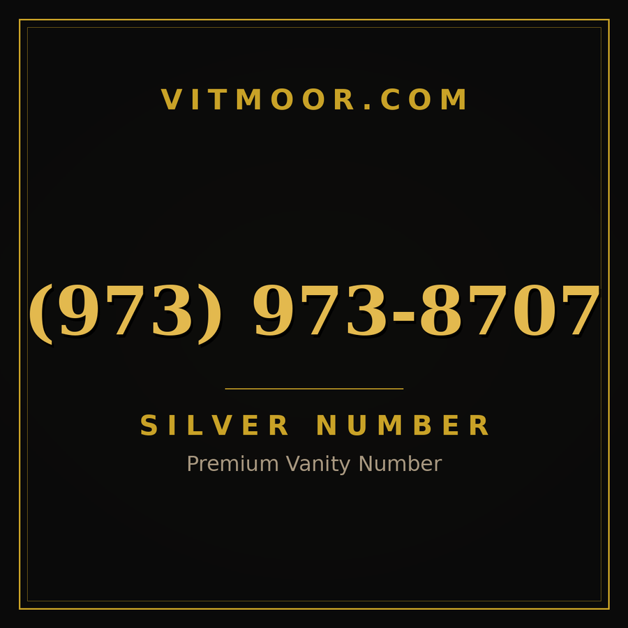 VITMOOR Silver premium number (973) 973-8707