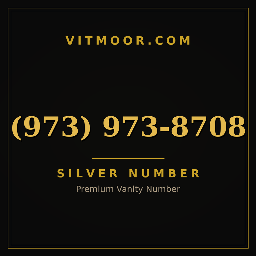 VITMOOR Silver premium number (973) 973-8708