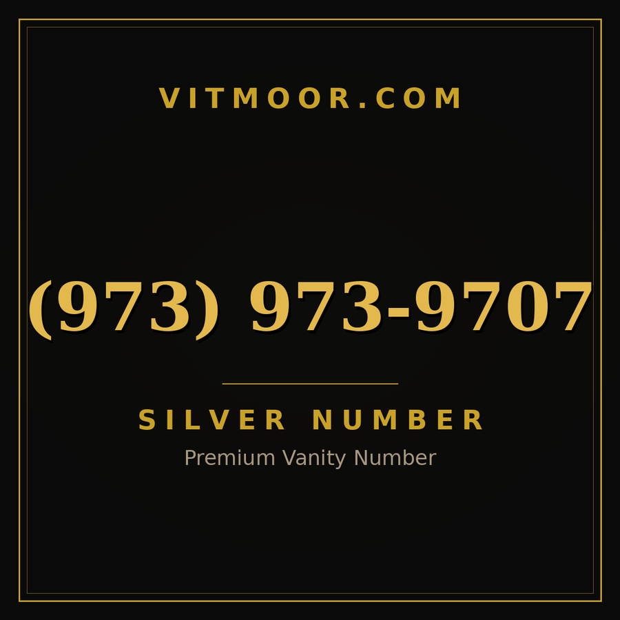 VITMOOR Silver premium number (973) 973-9707