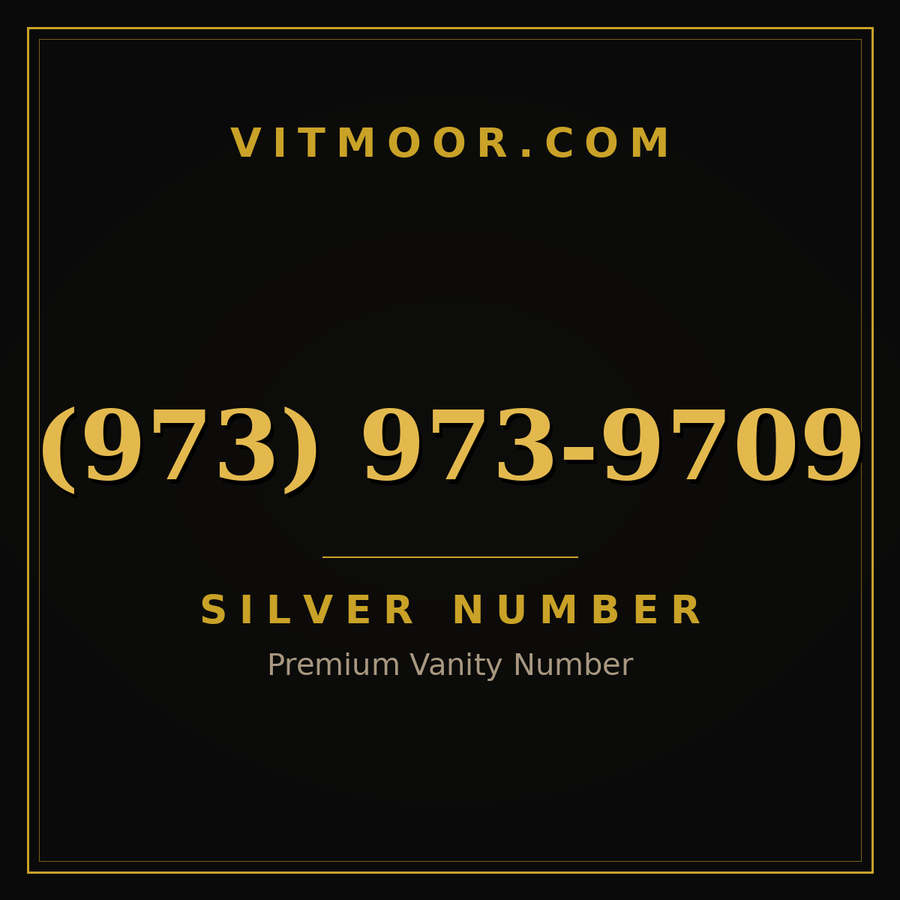 VITMOOR Silver premium number (973) 973-9709