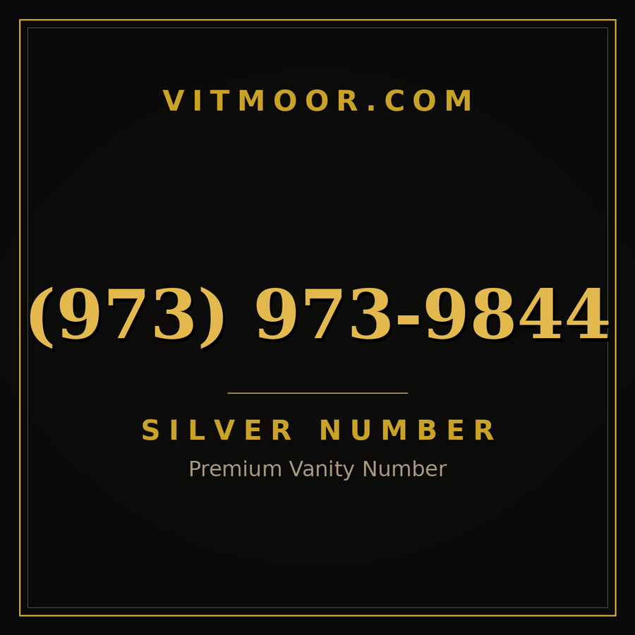 VITMOOR Silver premium number (973) 973-9844