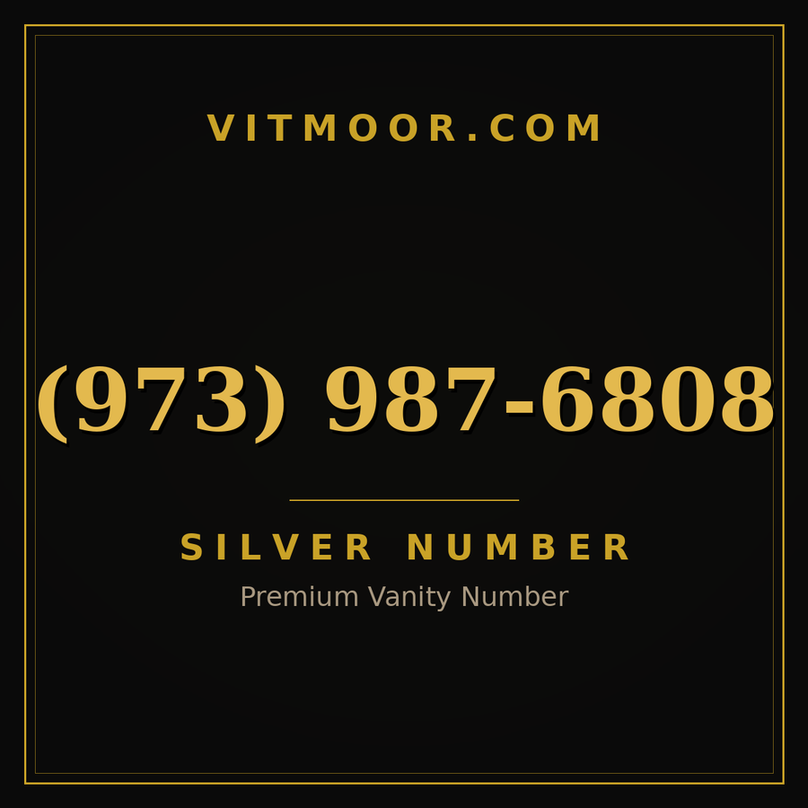 VITMOOR Silver premium number (973) 987-6808