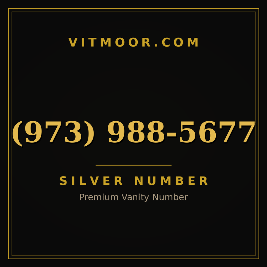 VITMOOR Silver premium number (973) 988-5677