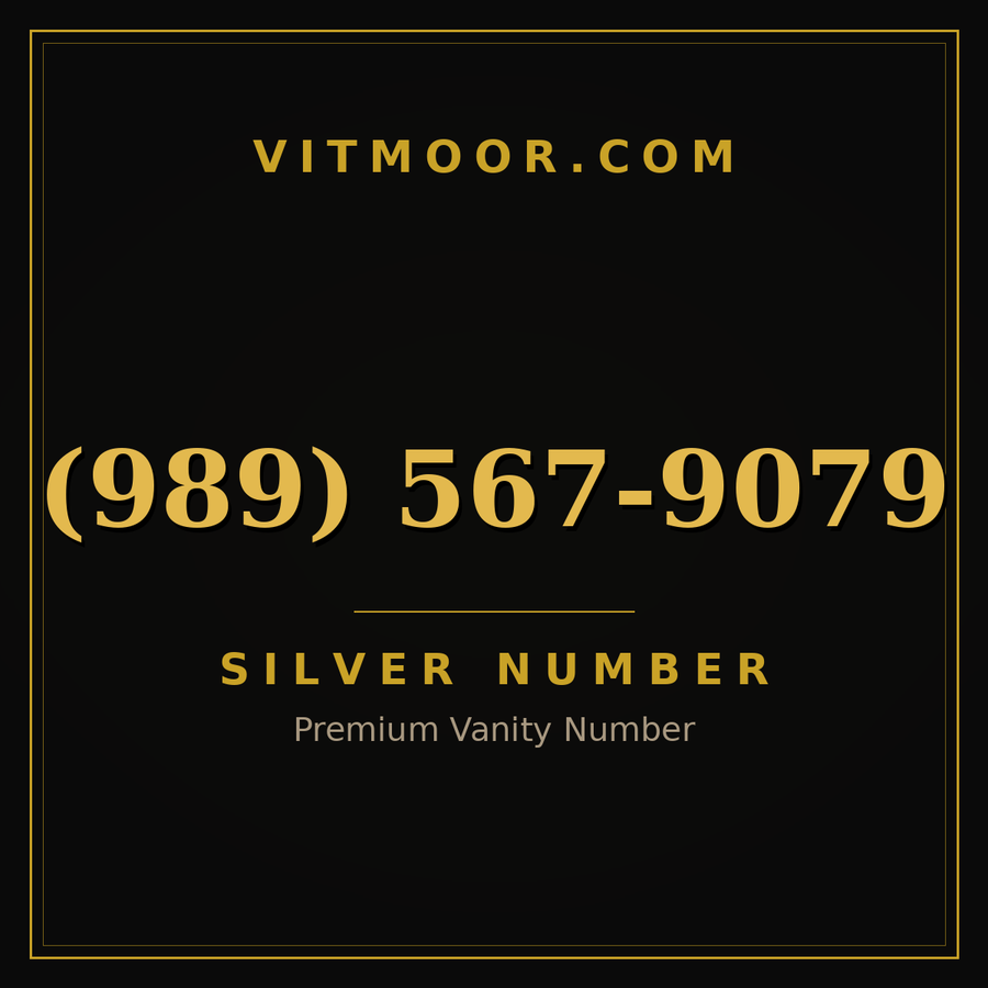 VITMOOR Silver premium number (989) 567-9079