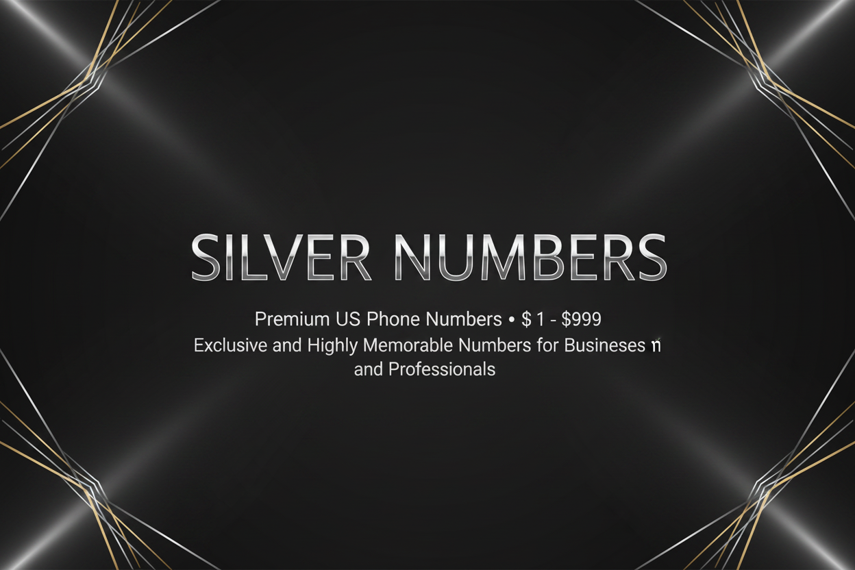 Silver Numbers Banner